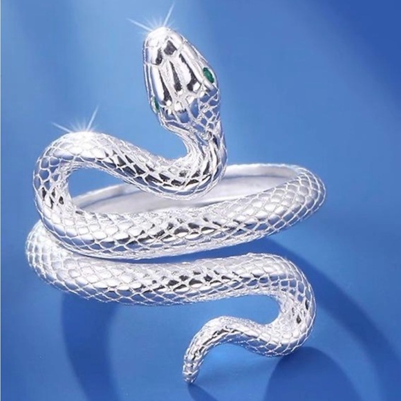 Best whishes Other - Best Wishes Shimmering Silver Snake Ring for Reptile Lovers